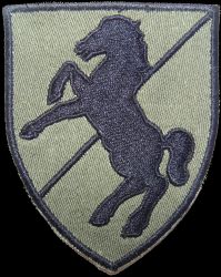 11 Regiment Kawalerii Pancernej, polowa