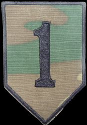1 Dywizja Piechoty, polowa ERDL