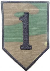 1 Dywizja Piechoty, polowa ERDL