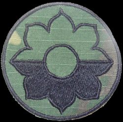 9 Dywizja Piechoty, polowa, ERDL